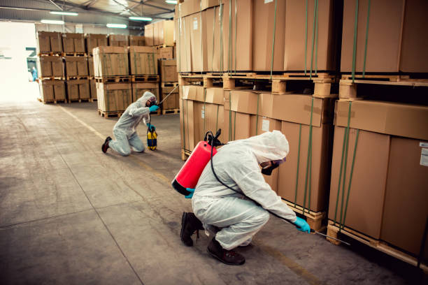 Best Ant Control Services  in Orange, CA