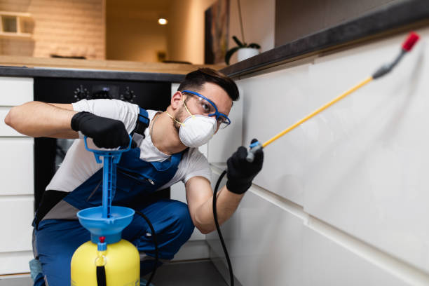 Best Pest Control for Businesses  in Orange, CA