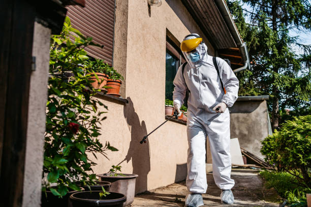 Best Flea Control Services  in Orange, CA