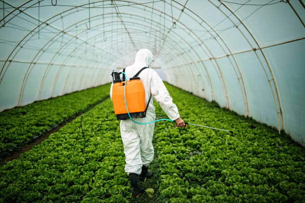 Best Pest Removal Services  in Orange, CA