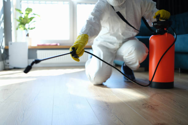 Flea Control Services in Orange, CA