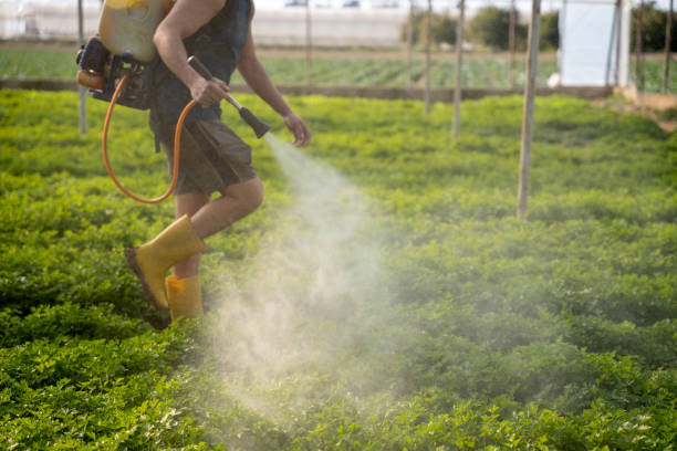 Best Pest Prevention Services  in Orange, CA