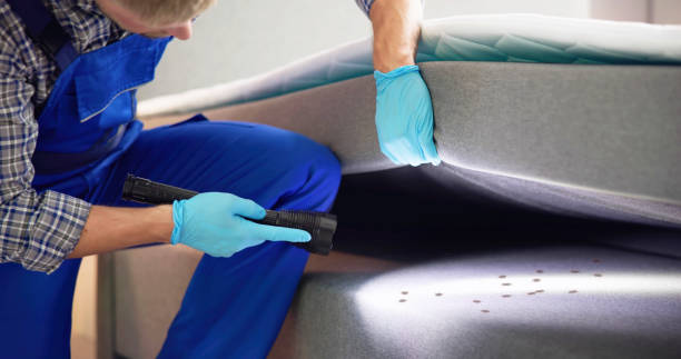 Best Pest Control Near Me in Orange, CA