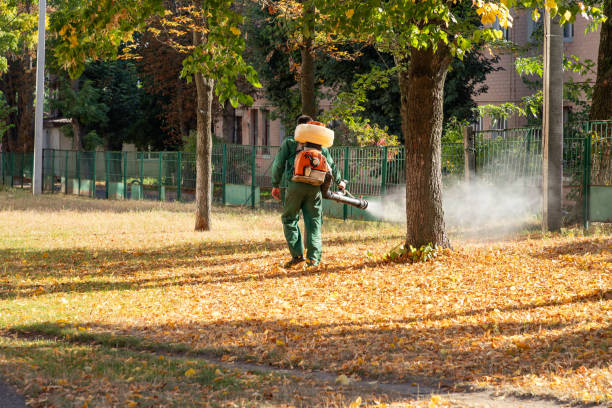 Best Insect Control  in Orange, CA