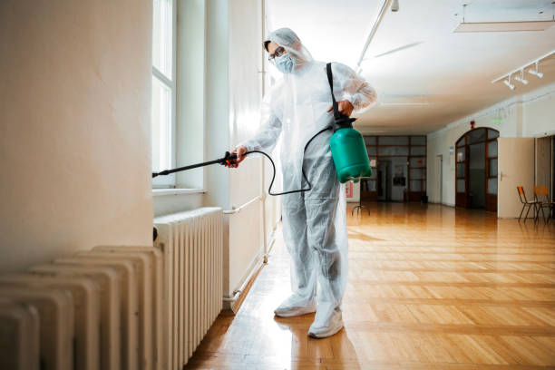 Best Affordable Pest Control Services  in Orange, CA